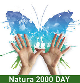 Happy #natura2000day from the Forest of the Flying Squirrel, Finland!