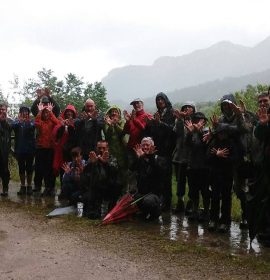 Mariposas bajo la lluvia