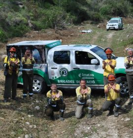 Brigadas de Diputación (Divalterra) cuidan la Red Natura 2000 en Bicorp y Enguera (Valencia)