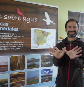 Carlos Sainz. BAHÍA DE SANTANDER Ecoturismo Carlos Sainz. BAHÍA DE SANTANDER Ecoturismo