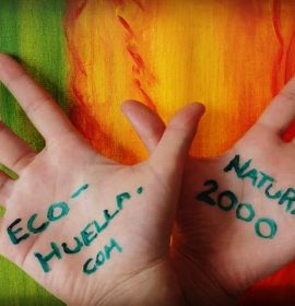 Twitter : @EcoHuella_com (Eco-Huella.com)
