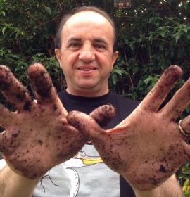 José Luis Gallego, periodista