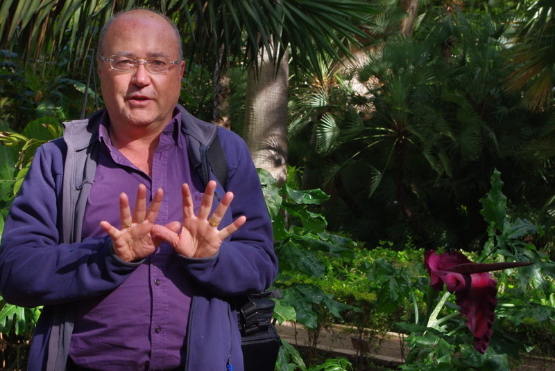 Emilio Laguna