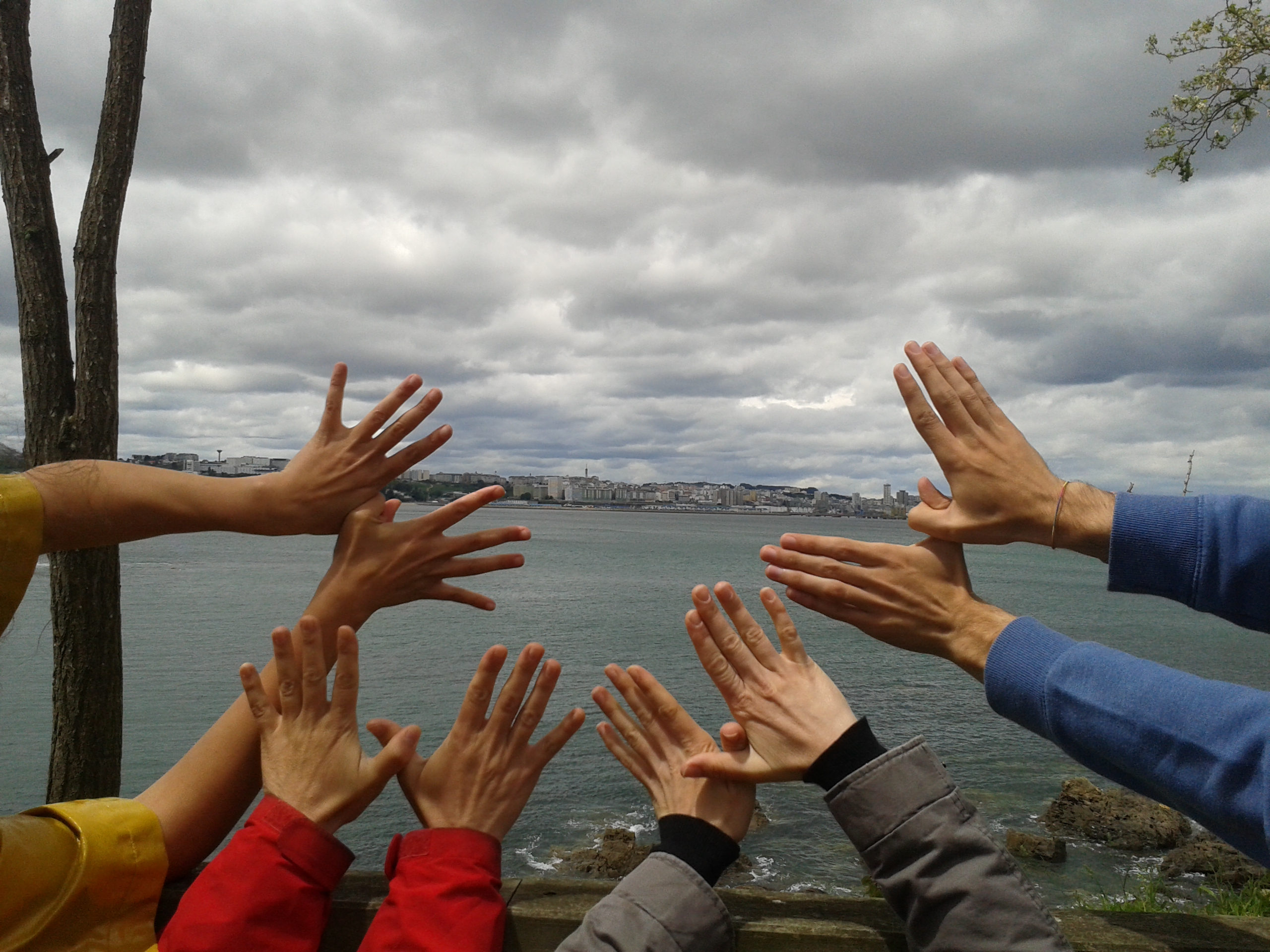 Las mariposas vuelan desde la Isla de Santa Cruz (Oleiros) para apoyar a la Red Natura 2000!