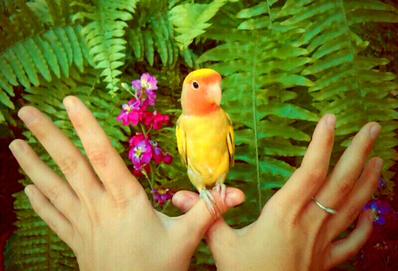 Red Natura 2000