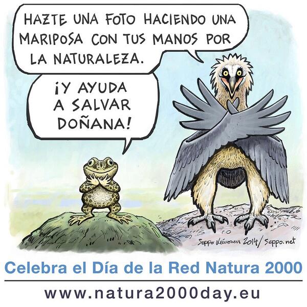 Twitter : @sepponet (Seppo)