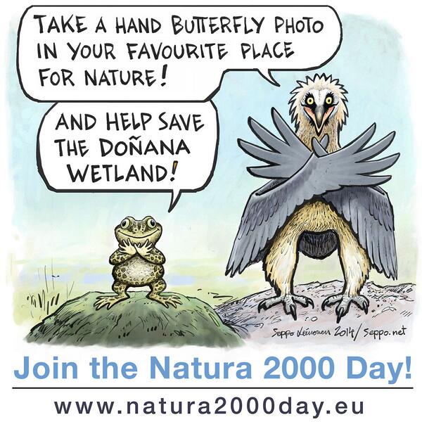 Twitter : @BirdLife_News (BirdLife)