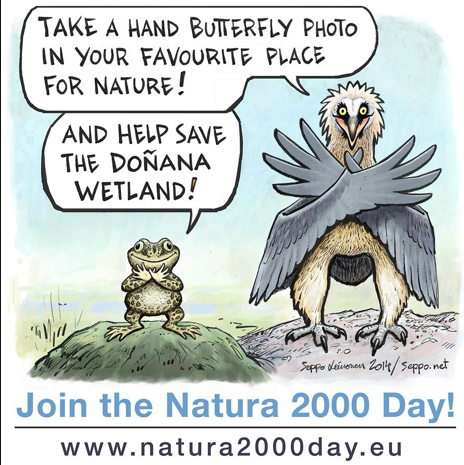 Twitter : @BirdLifeEurope (BirdLife Europe)