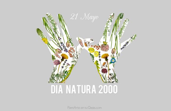 Twitter : @PlantArte_Oasis (PlantArte entu Oasis)