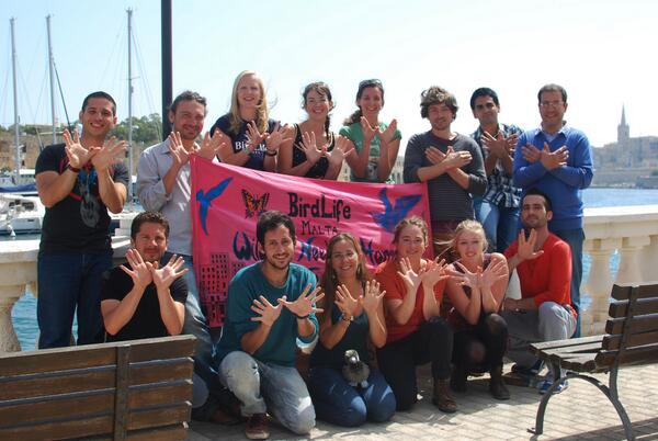 Twitter : @BirdLife_Malta (BirdLife Malta)