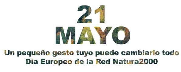 Twitter : @CreandoRedesRE (Creando Redes)