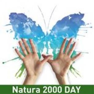 Twitter : @Isabelgarciacv (Isabel PRL_Ambiental)