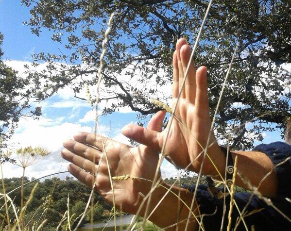 Twitter : @SEOExtremadura1 (SEO Extremadura)