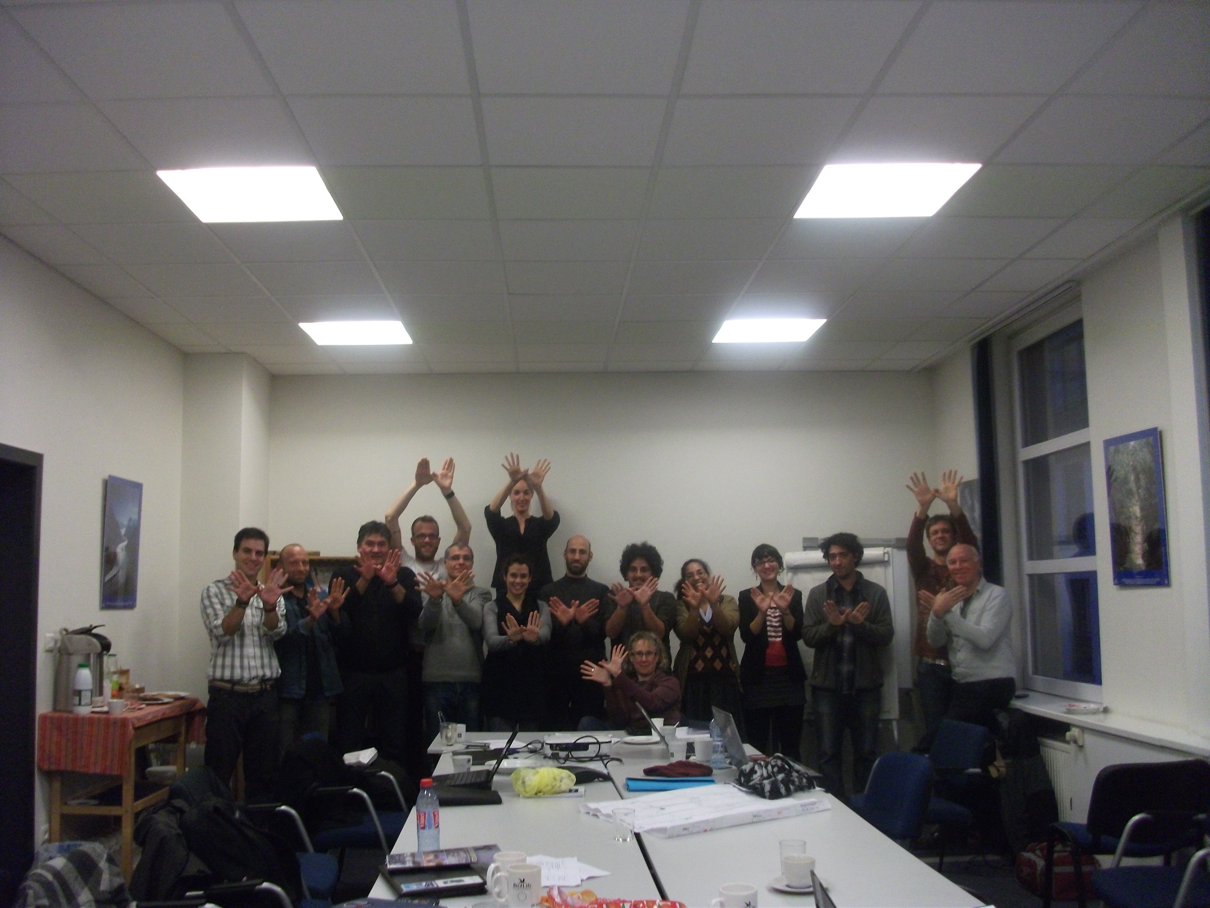 BirdLife Marine Task Force