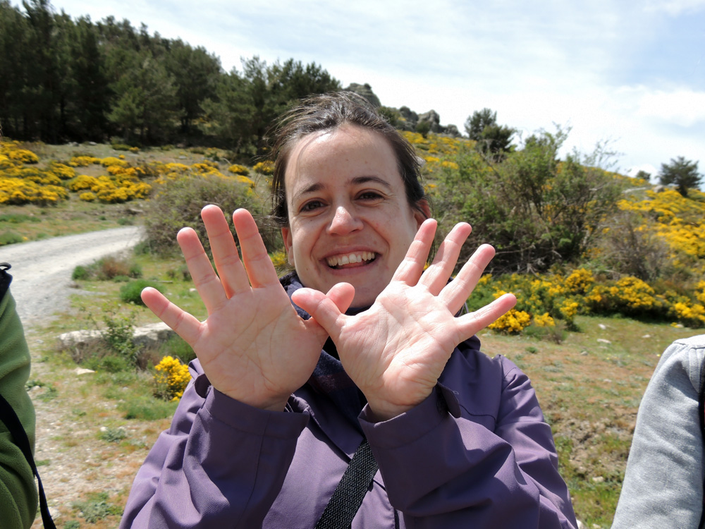 SEO-SIERRA DE GUADARRAMA
