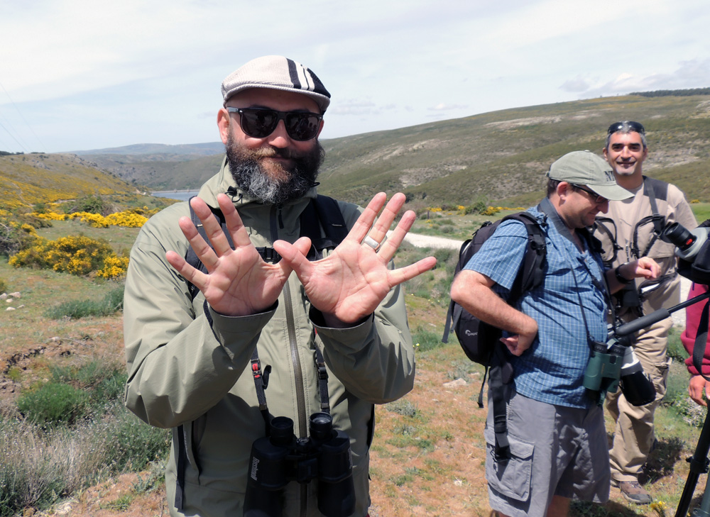 SEO-SIERRA DE GUADARRAMA