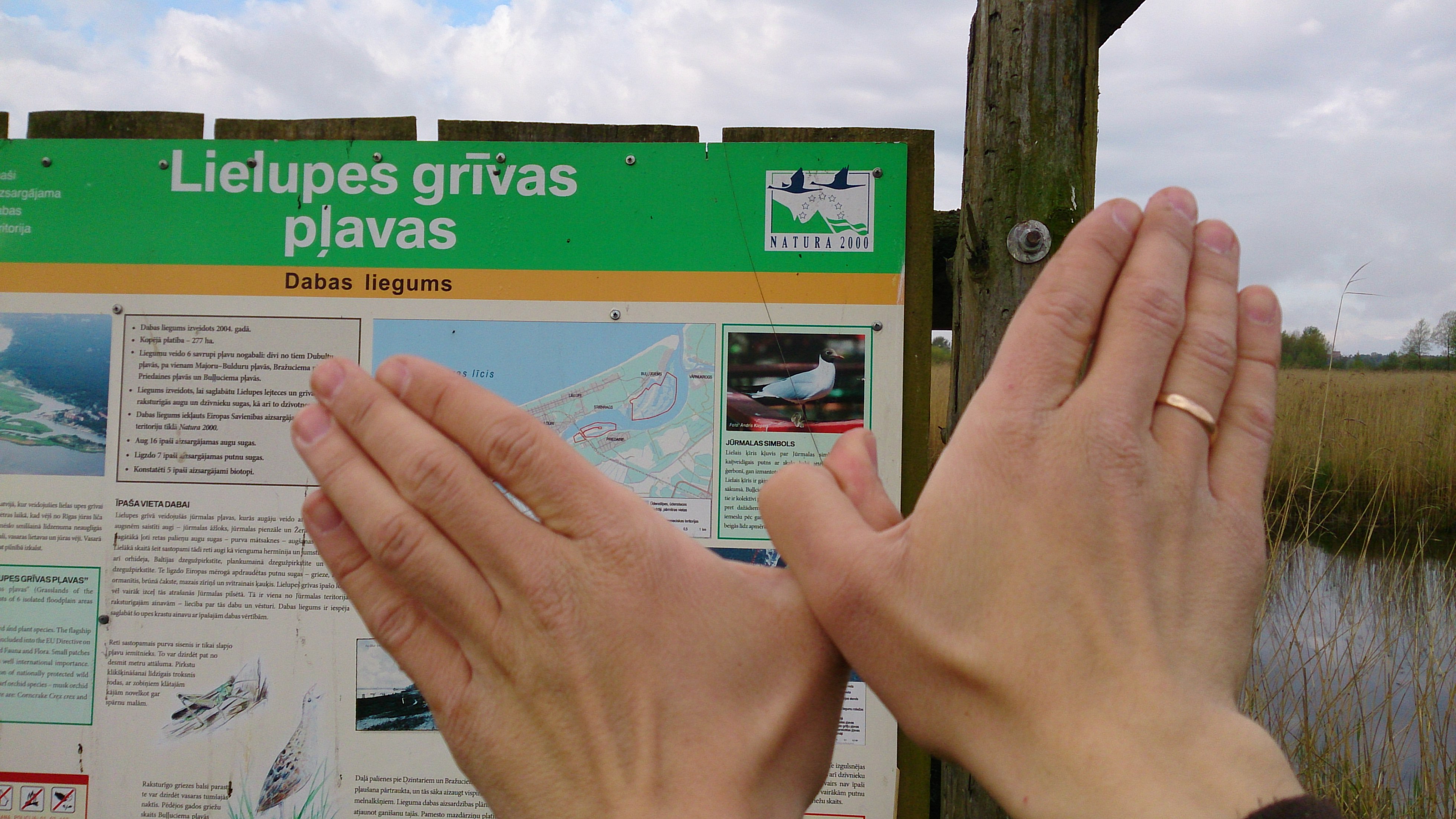 Lielupes grīvas pļavas