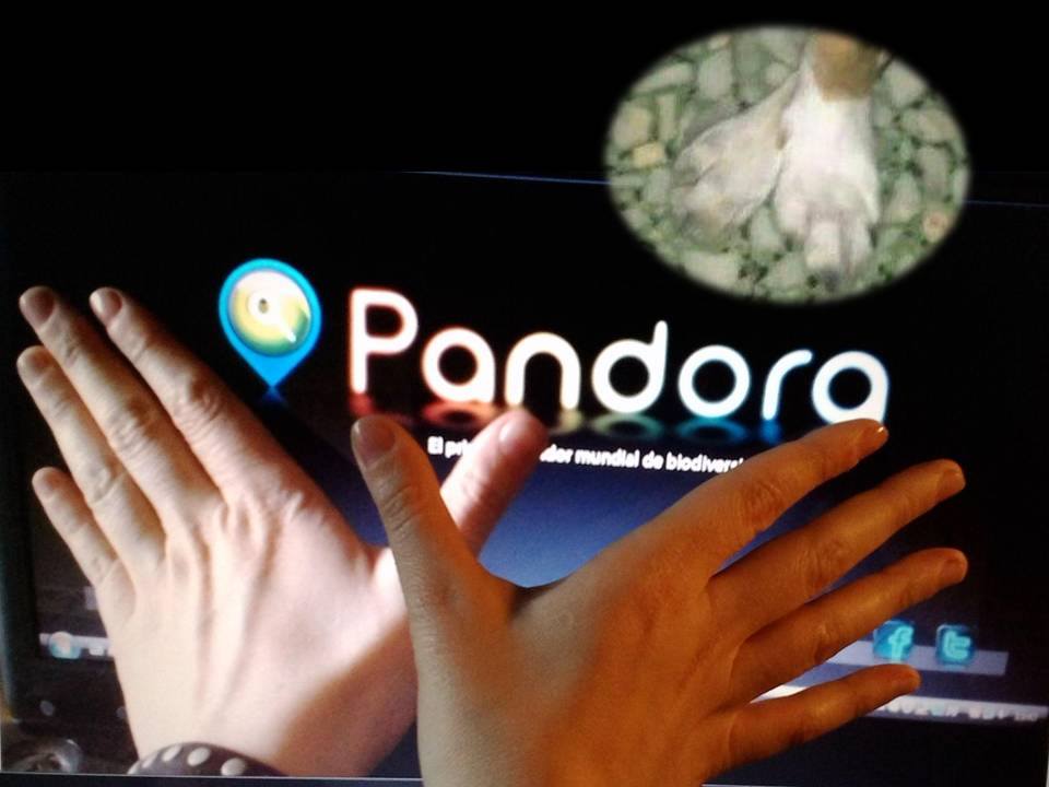 Proyecto Pandora