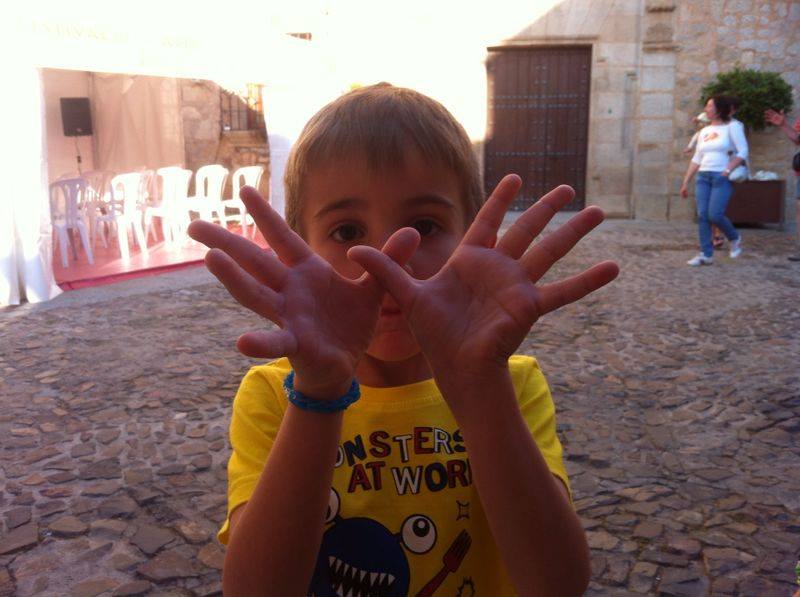 Festival de las Aves de Cáceres