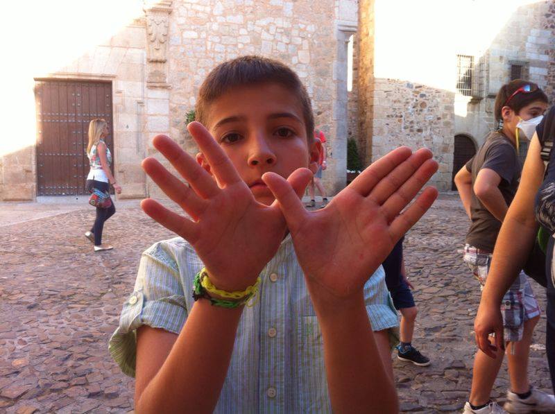 Festival de las Aves de Cáceres