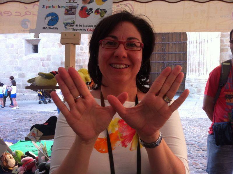 Festival de las Aves de Cáceres