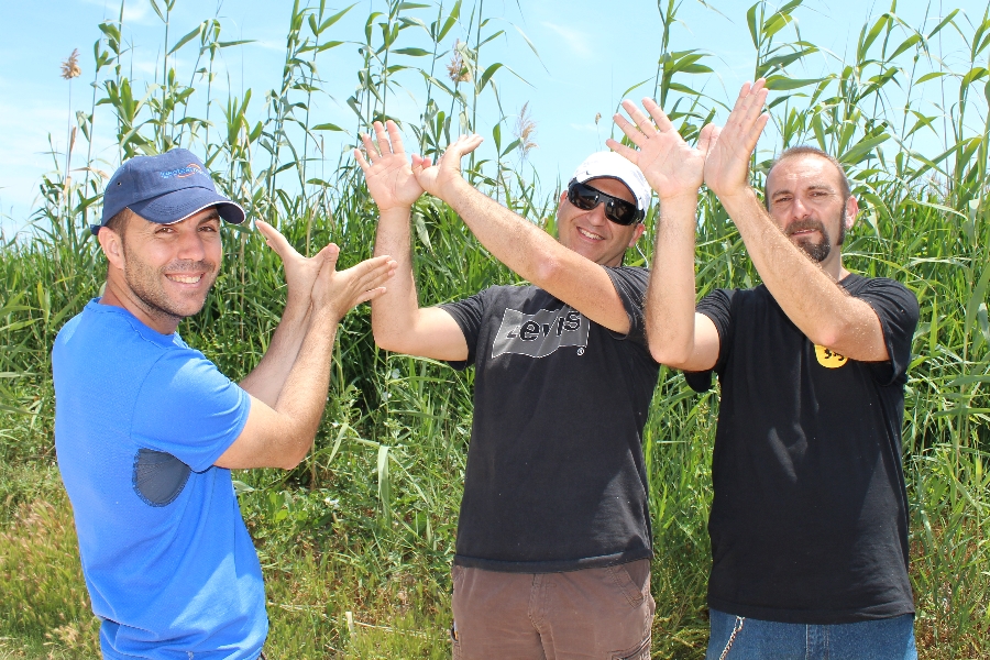 Jordi, Rubén, Alberto (Tancat de la Pipa, Albufera de Valencia)