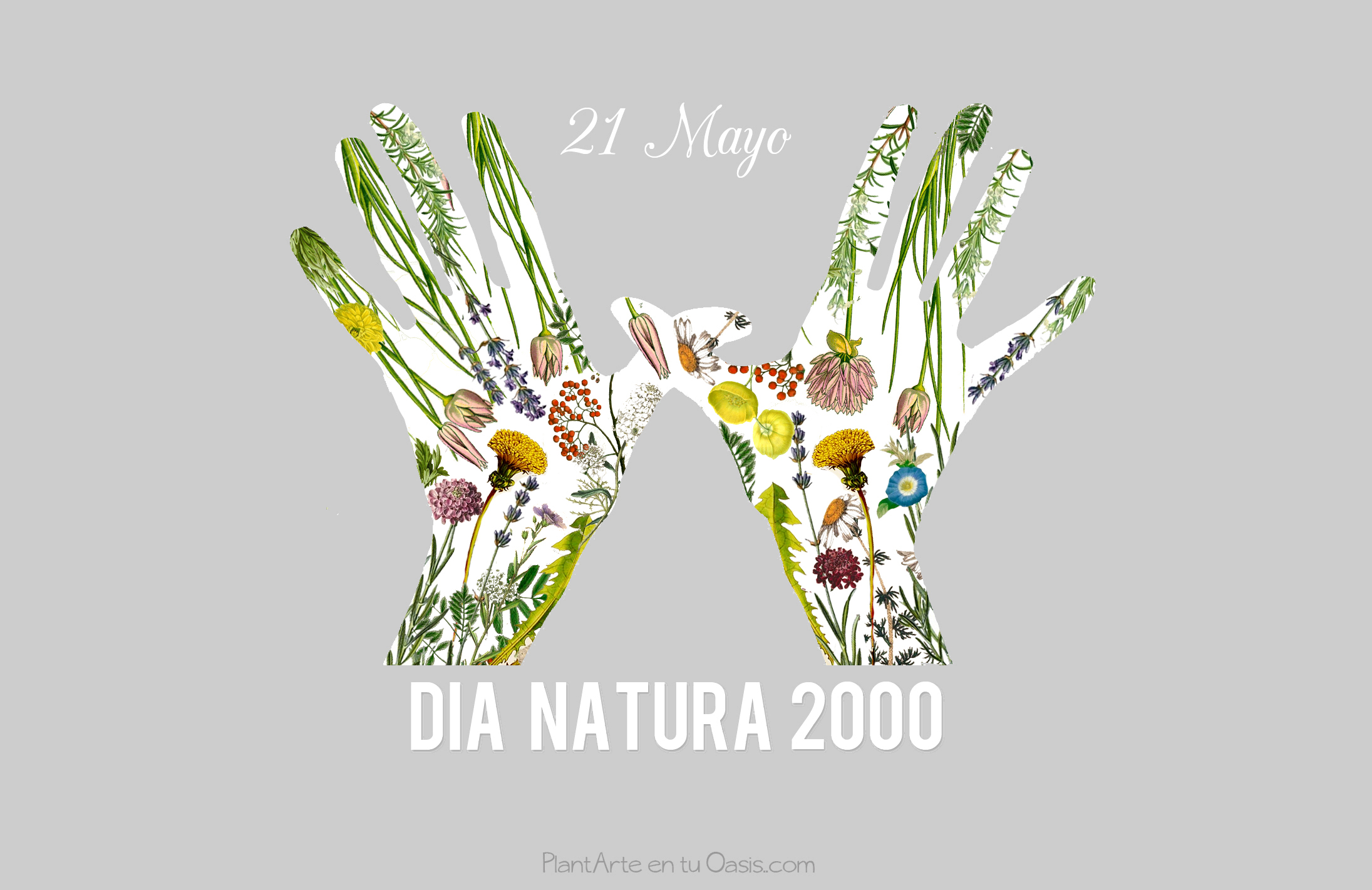Los componentes de PlantArte en tu Oasis estamos de celebración