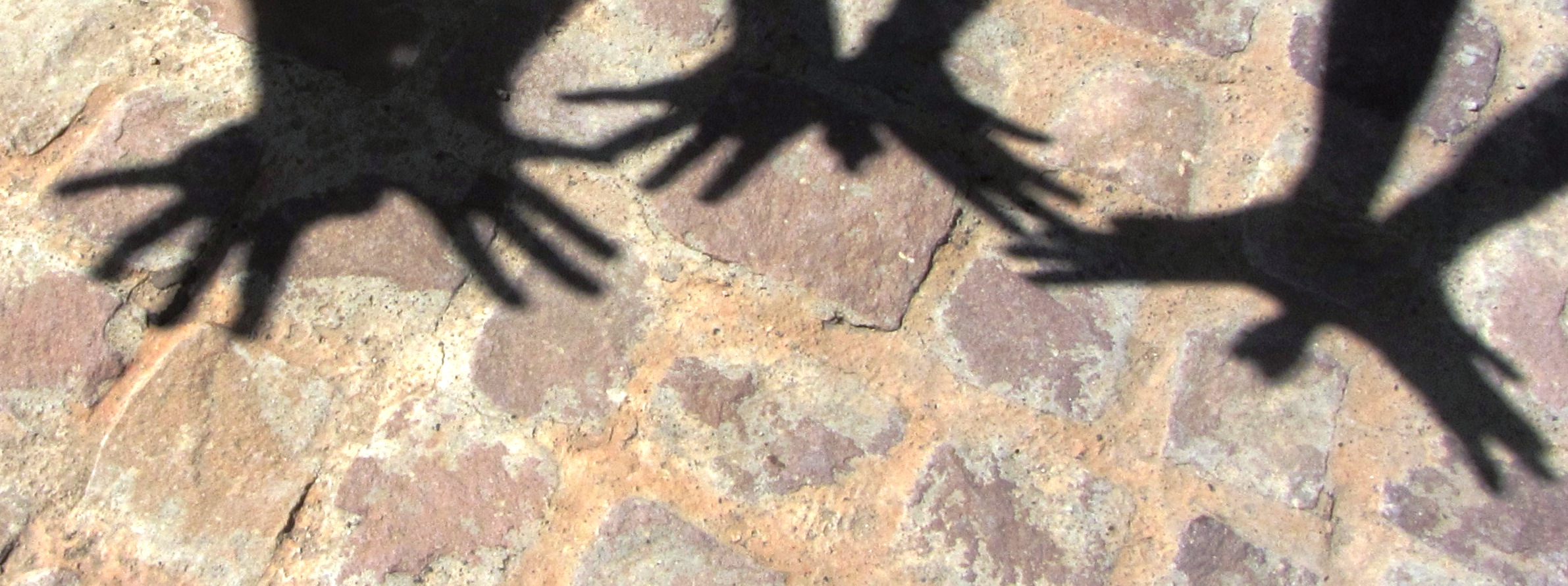Sombras