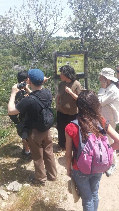Twitter : @ActivaRedNatura (ActivaNatura2000)