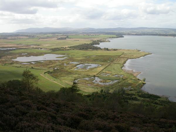 Twitter : @RSPBLochLeven (RSPB Loch Leven)