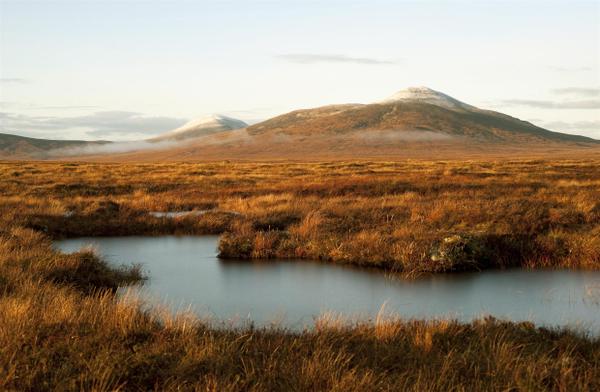 Twitter : @RSPBScotland (RSPB Scotland)
