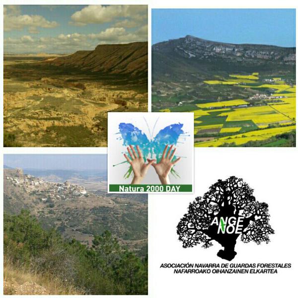 Twitter : @forestalnavarra (forestalnavarra)