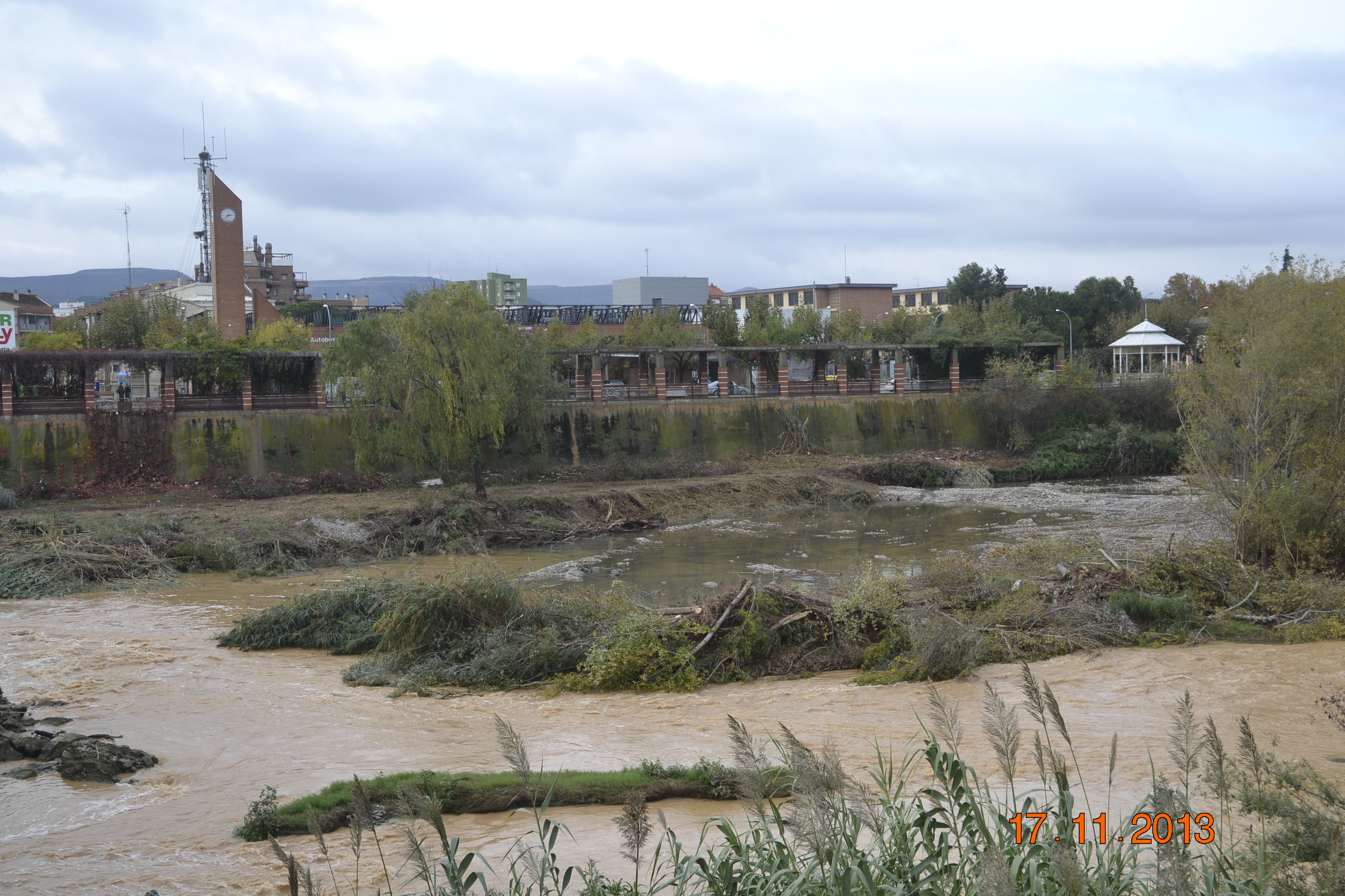 Destrucción impune de la sauceda del río Cinca en Fraga, zona Red Natura y LIC