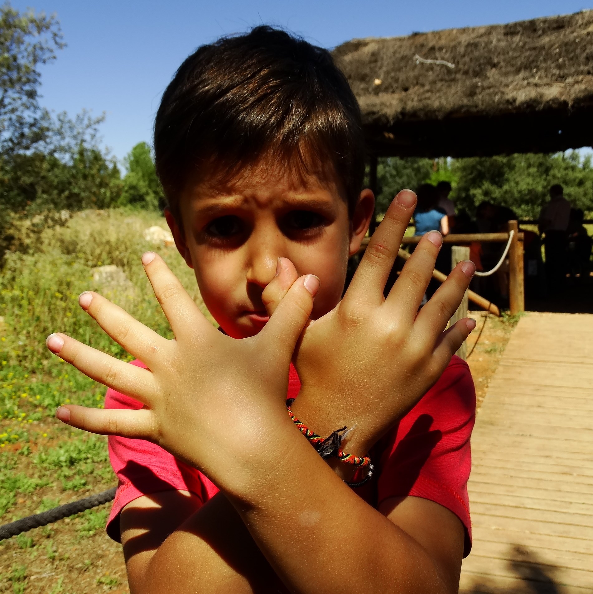 CERCADO DEL CIPRES – ANDUJAR
