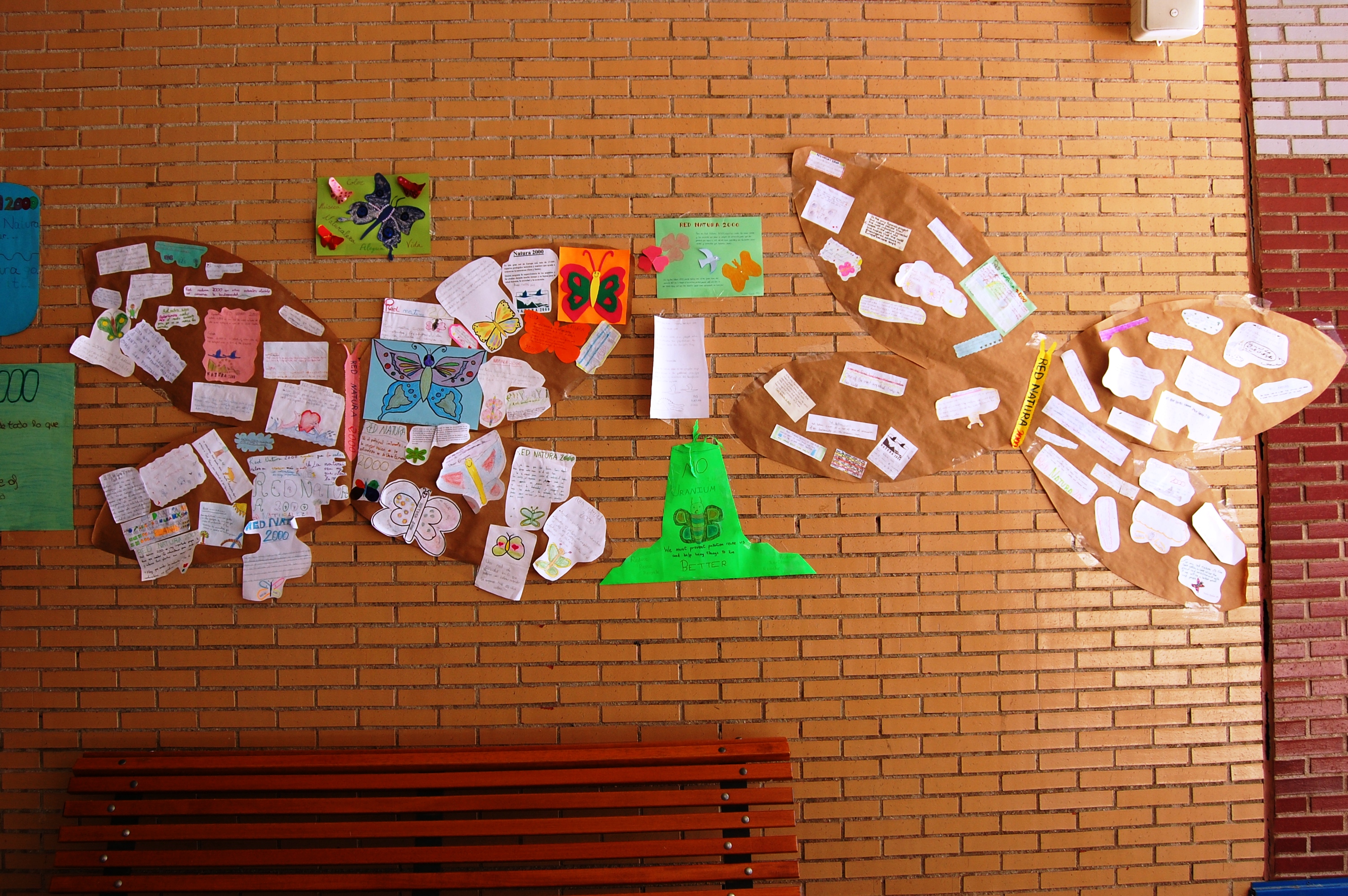 COLEGIO EDUCREA