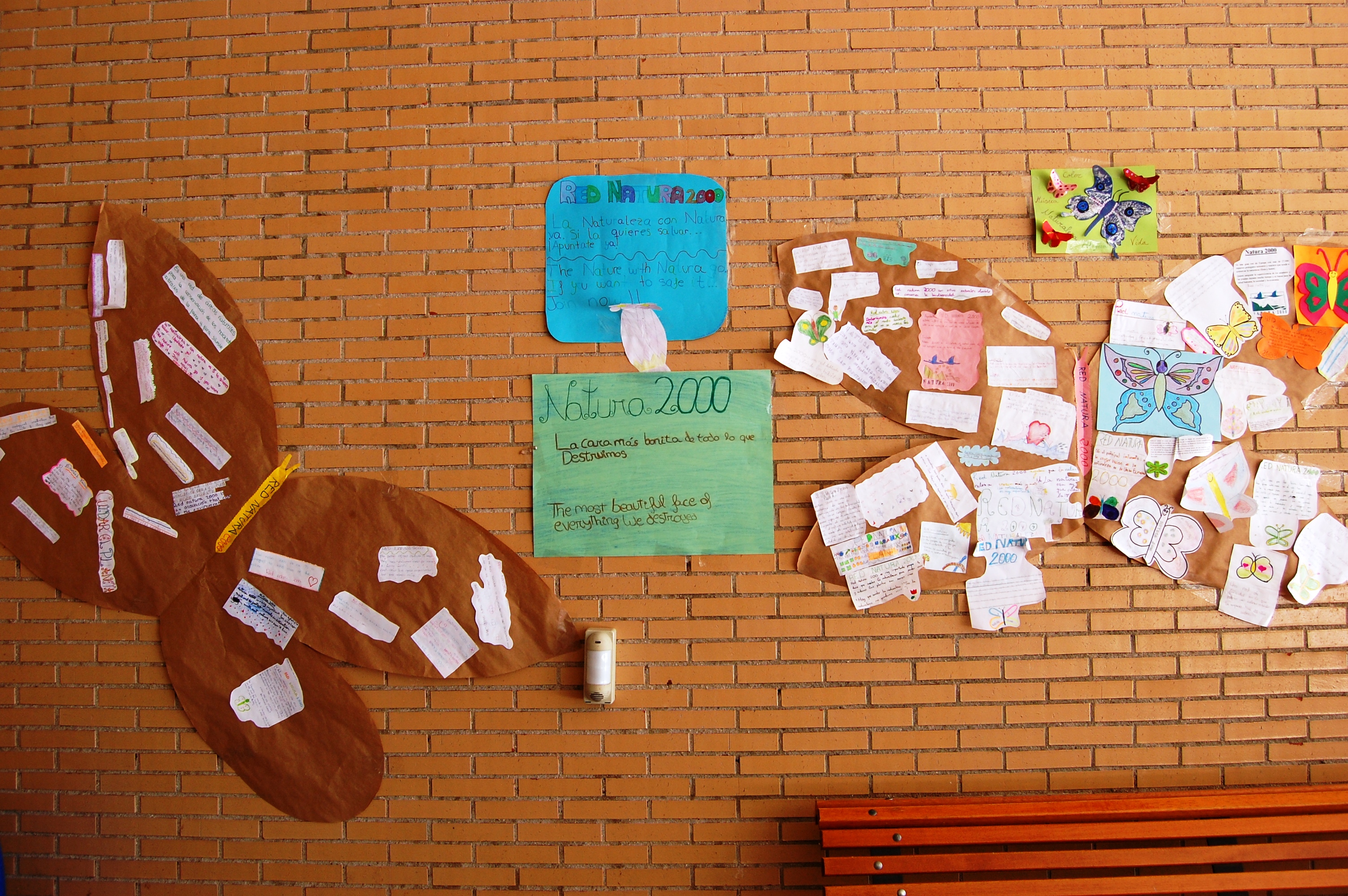 COLEGIO EDUCREA