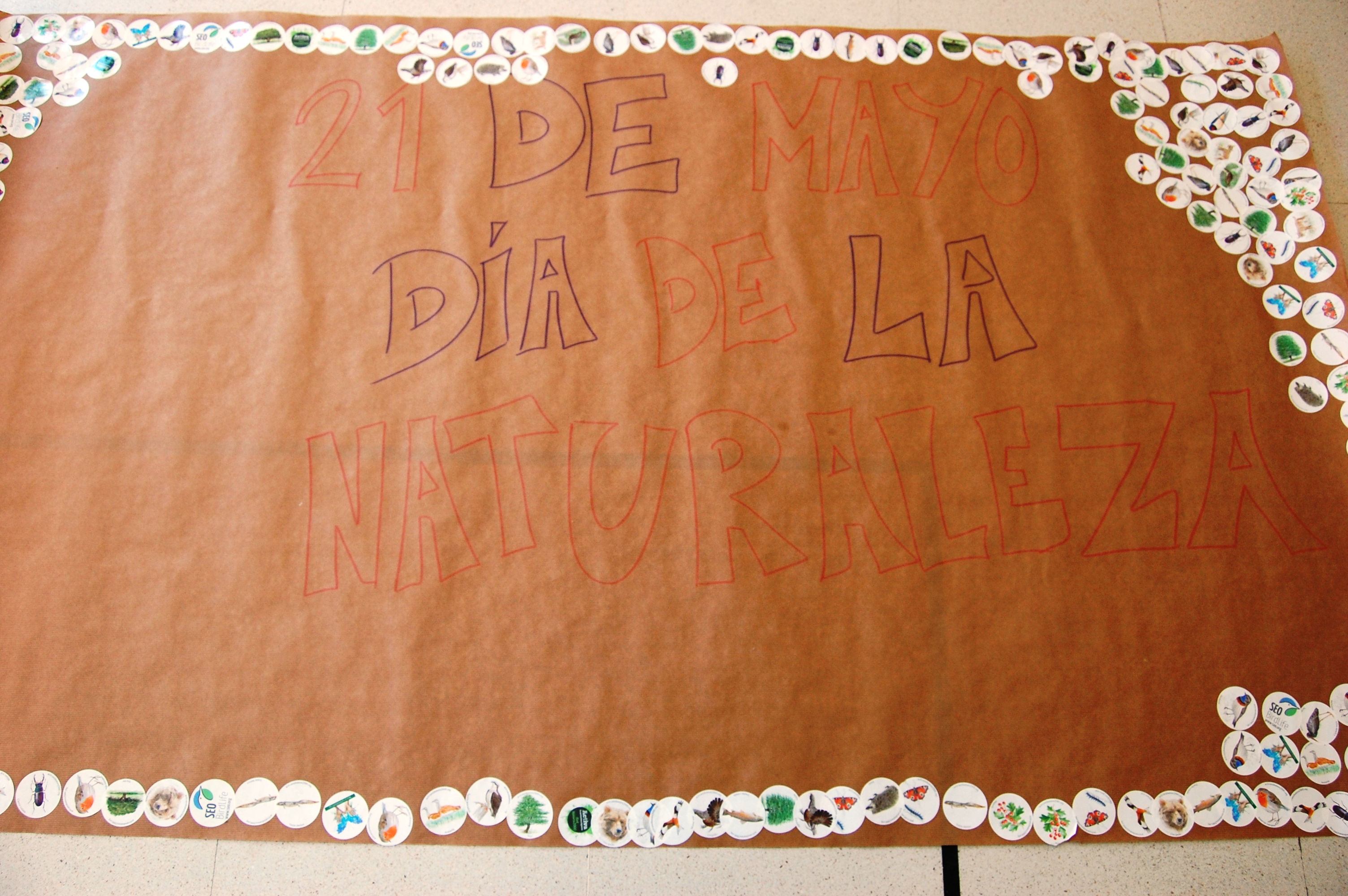 COLEGIO EDUCREA