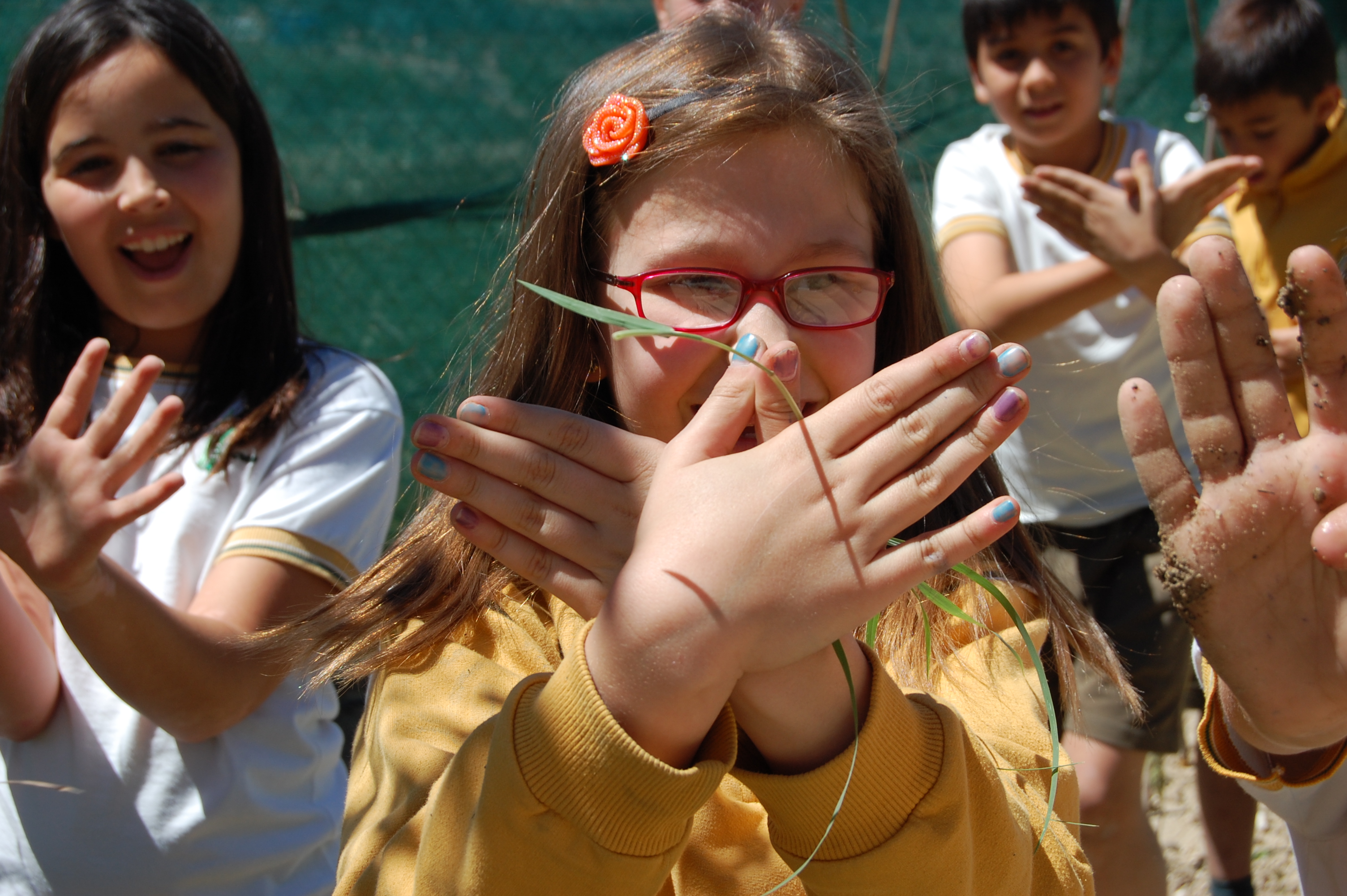 COLEGIO EDUCREA