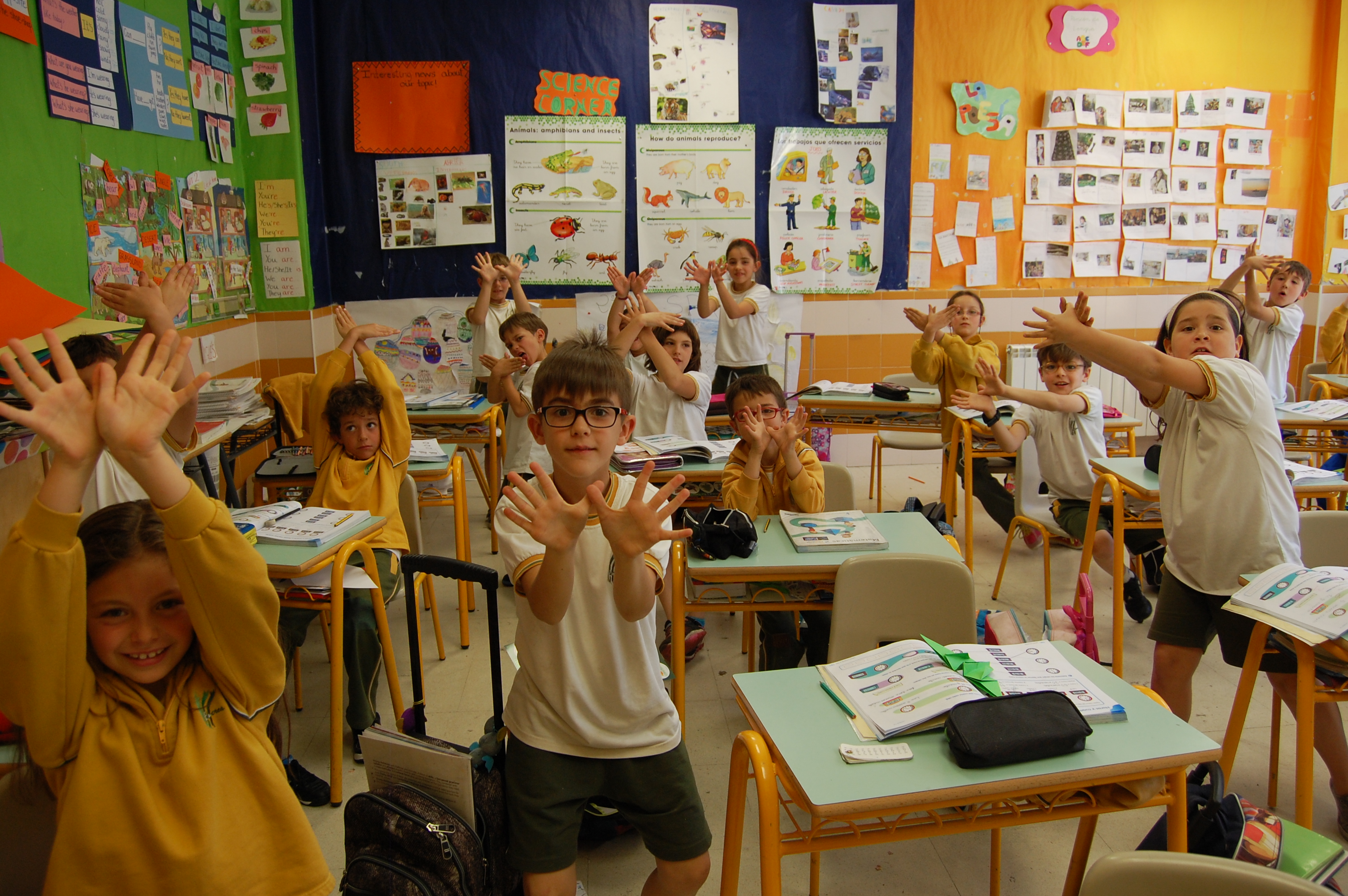 COLEGIO EDUCREA