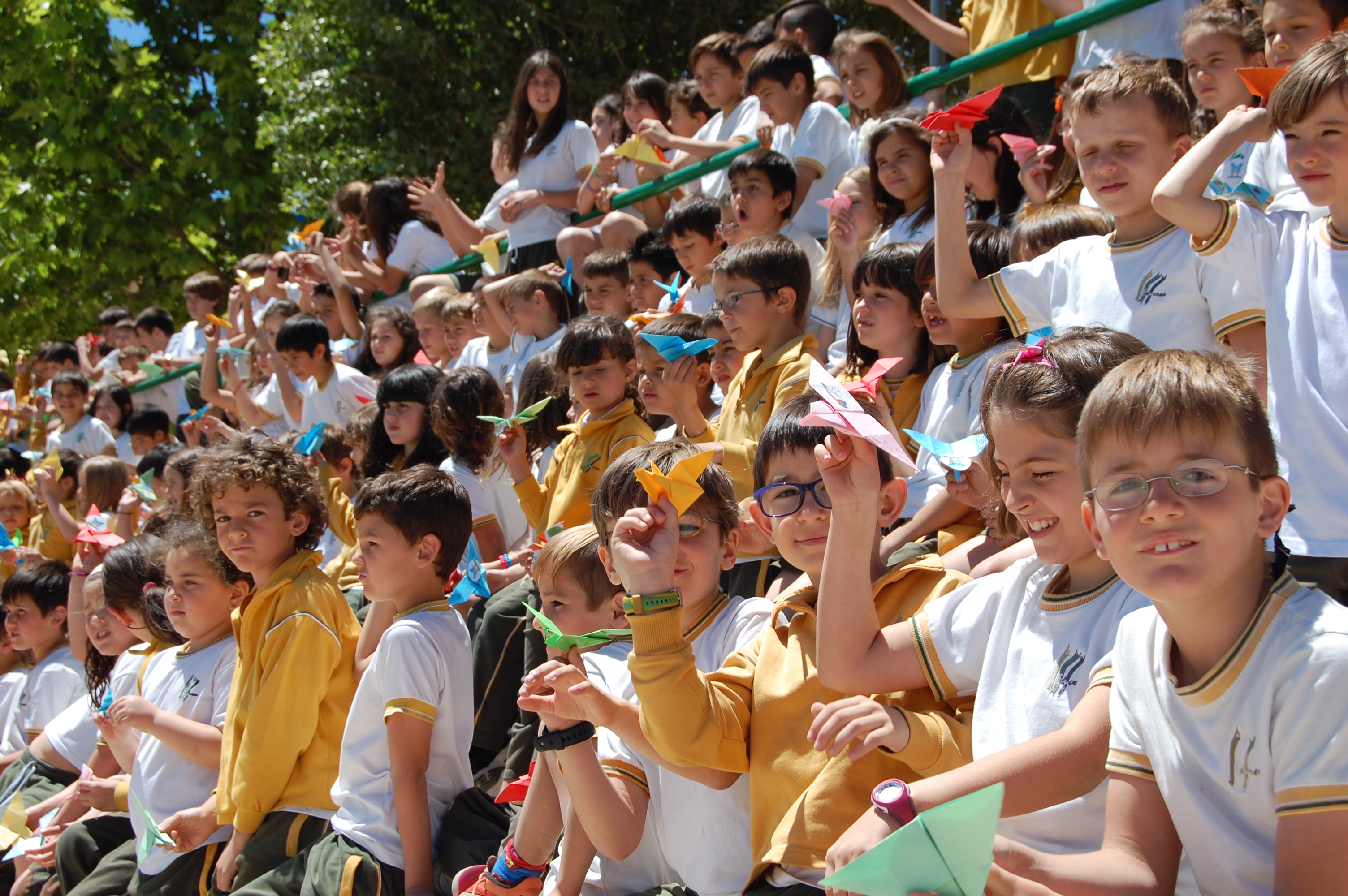 COLEGIO EDUCREA