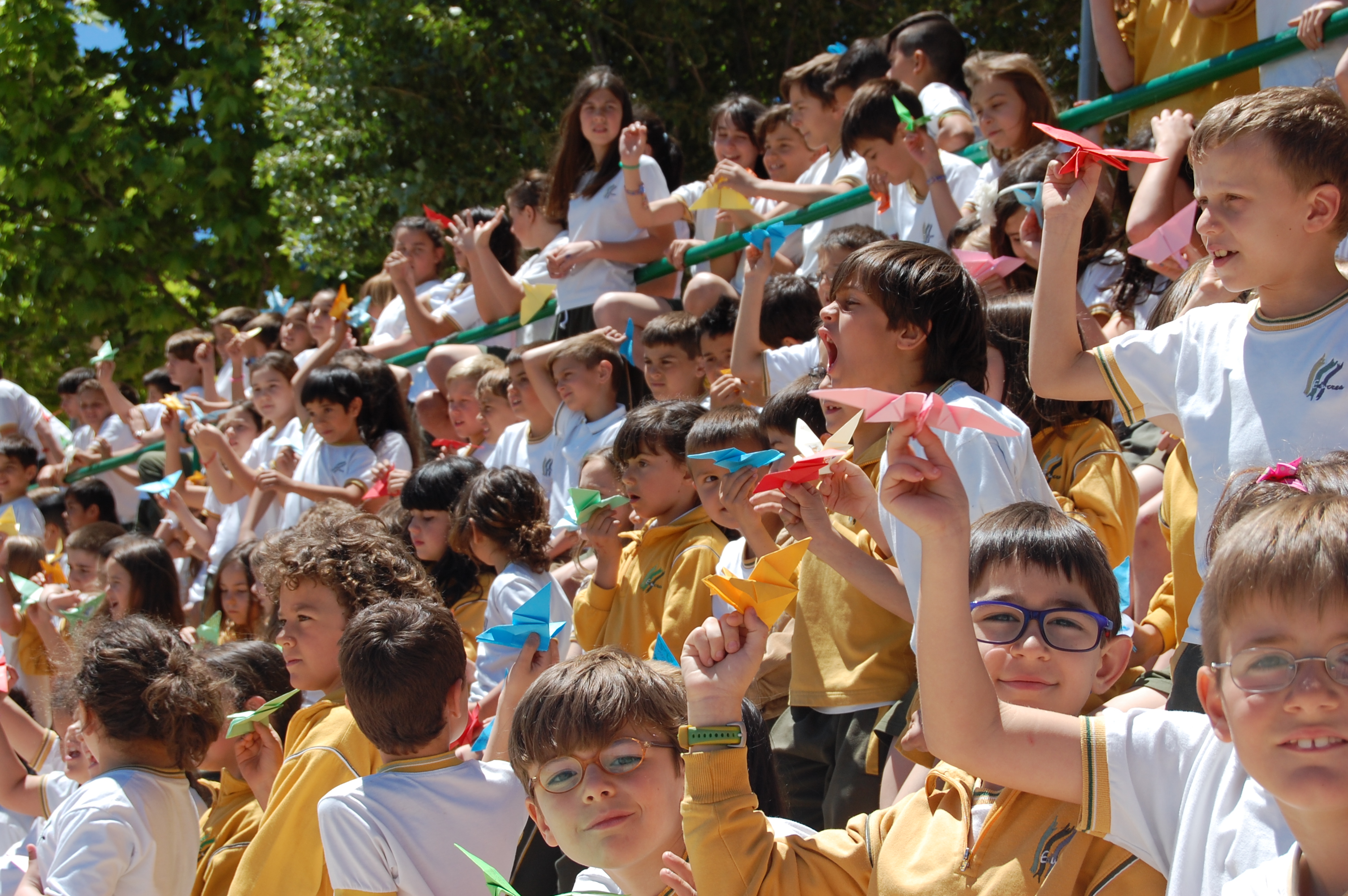 COLEGIO EDUCREA