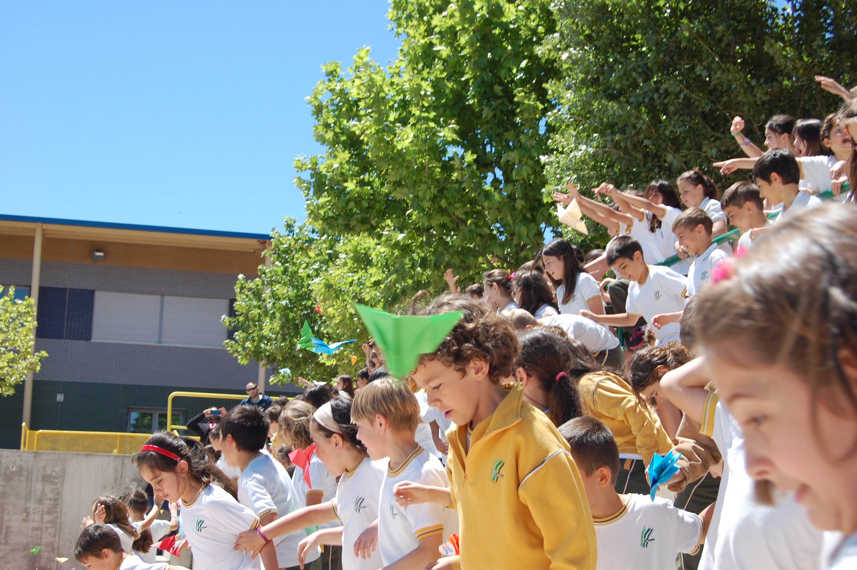 COLEGIO EDUCREA