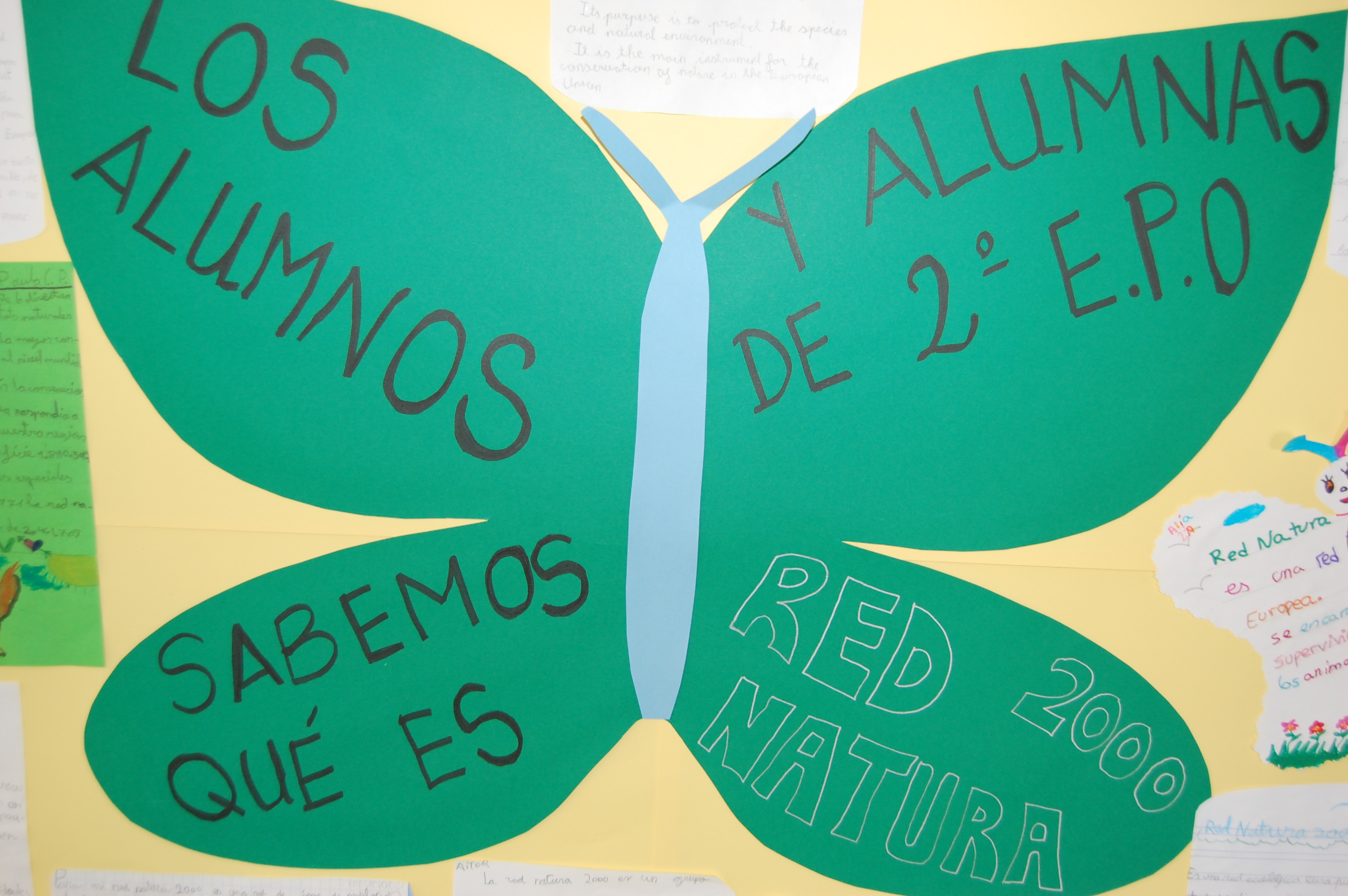 COLEGIO EDUCREA