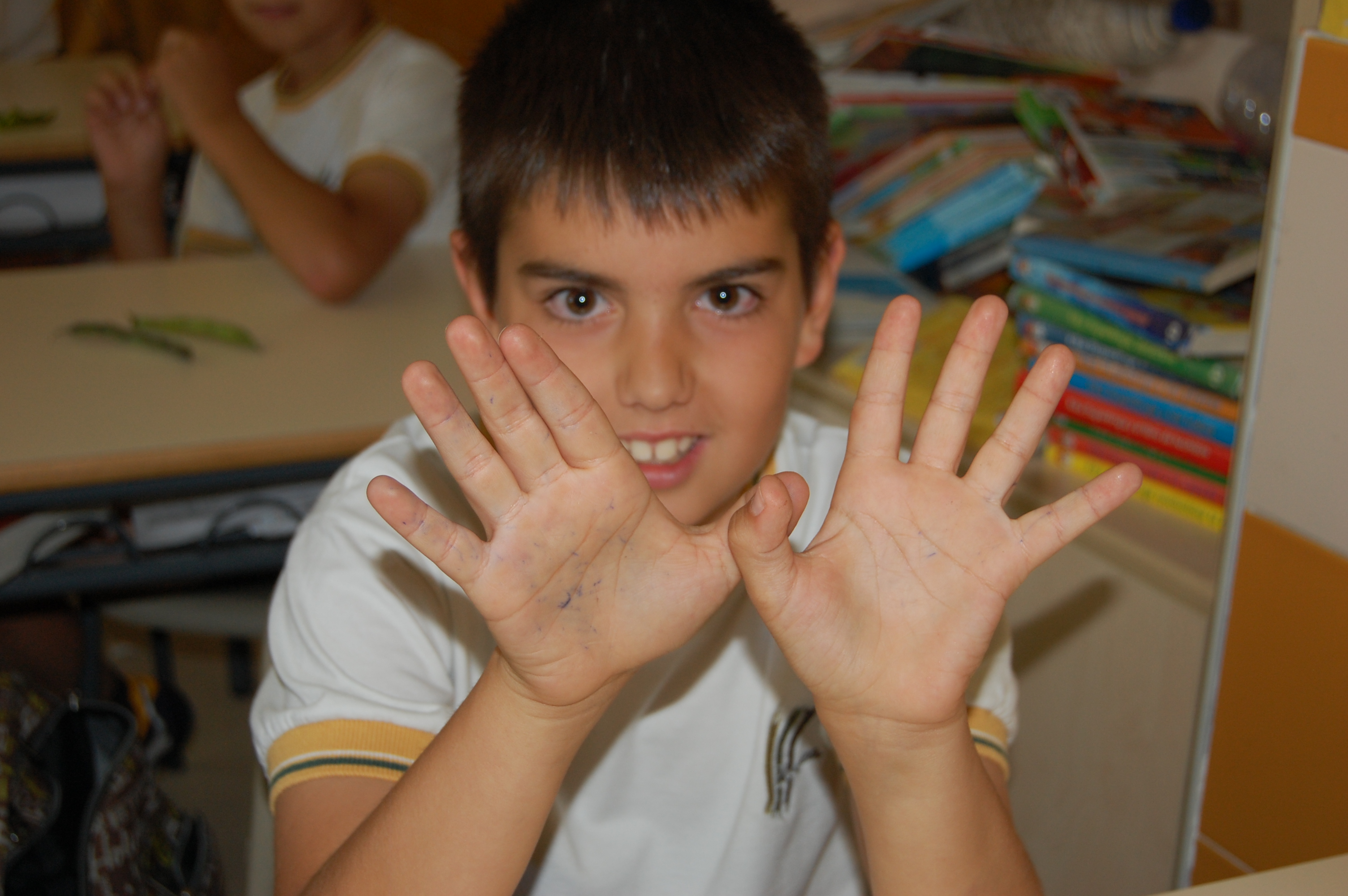 COLEGIO EDUCREA