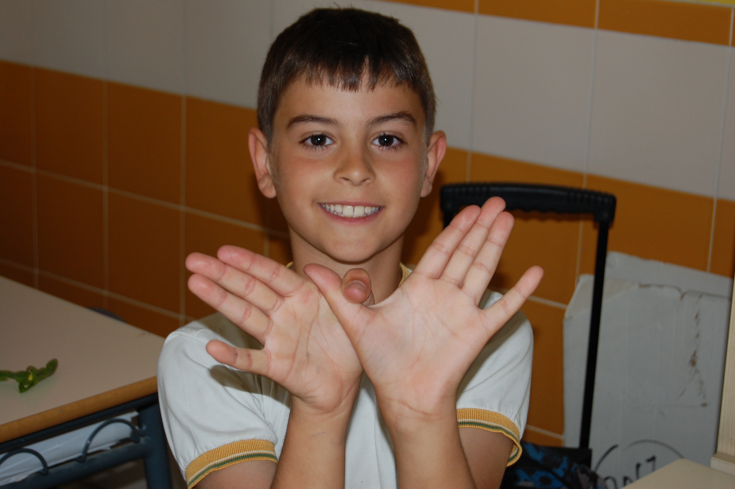 COLEGIO EDUCREA
