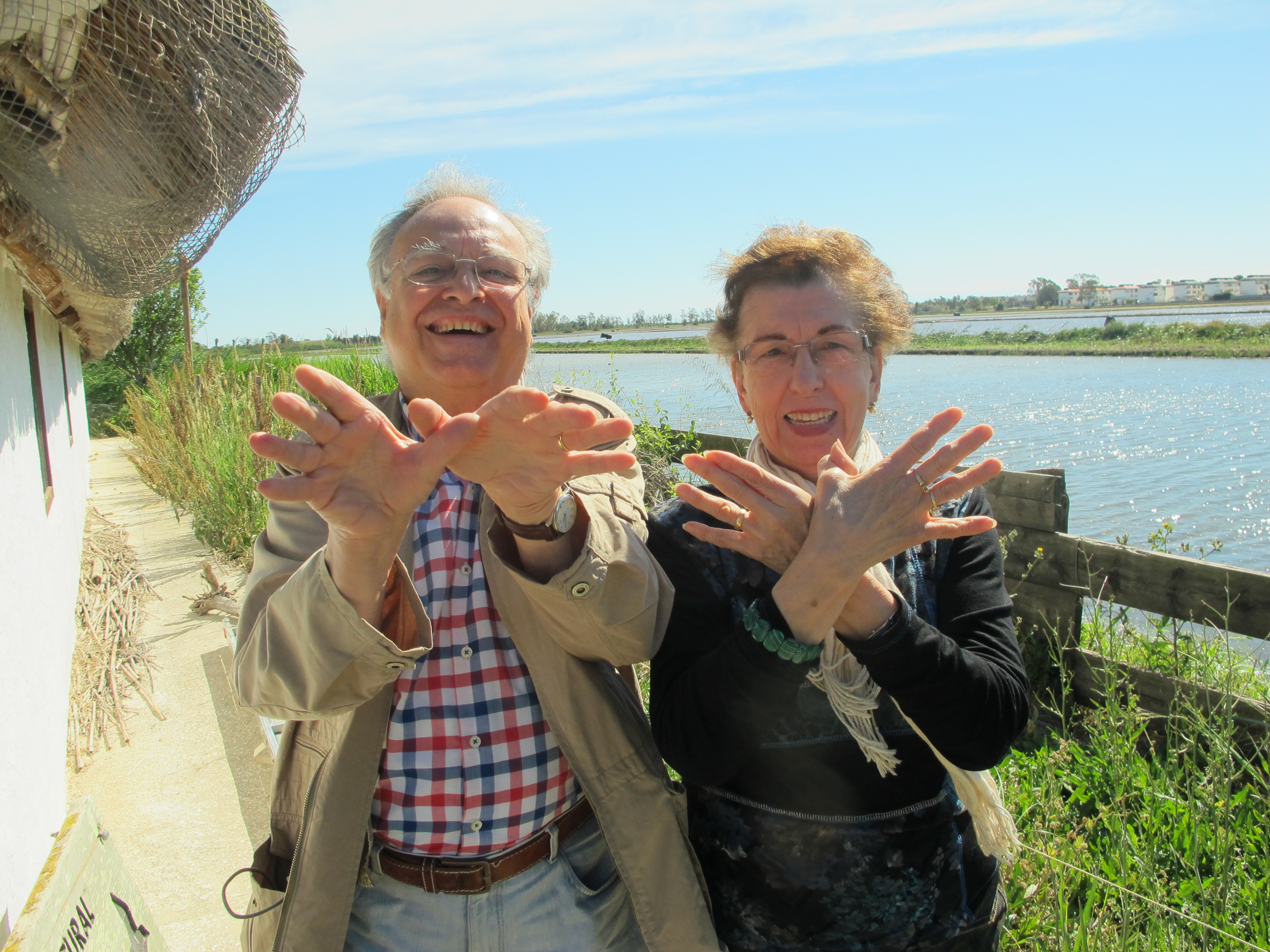Fiesta del Charrán en la Reserva Riet Vell de SEO/BirdLife en el Delta del Ebro