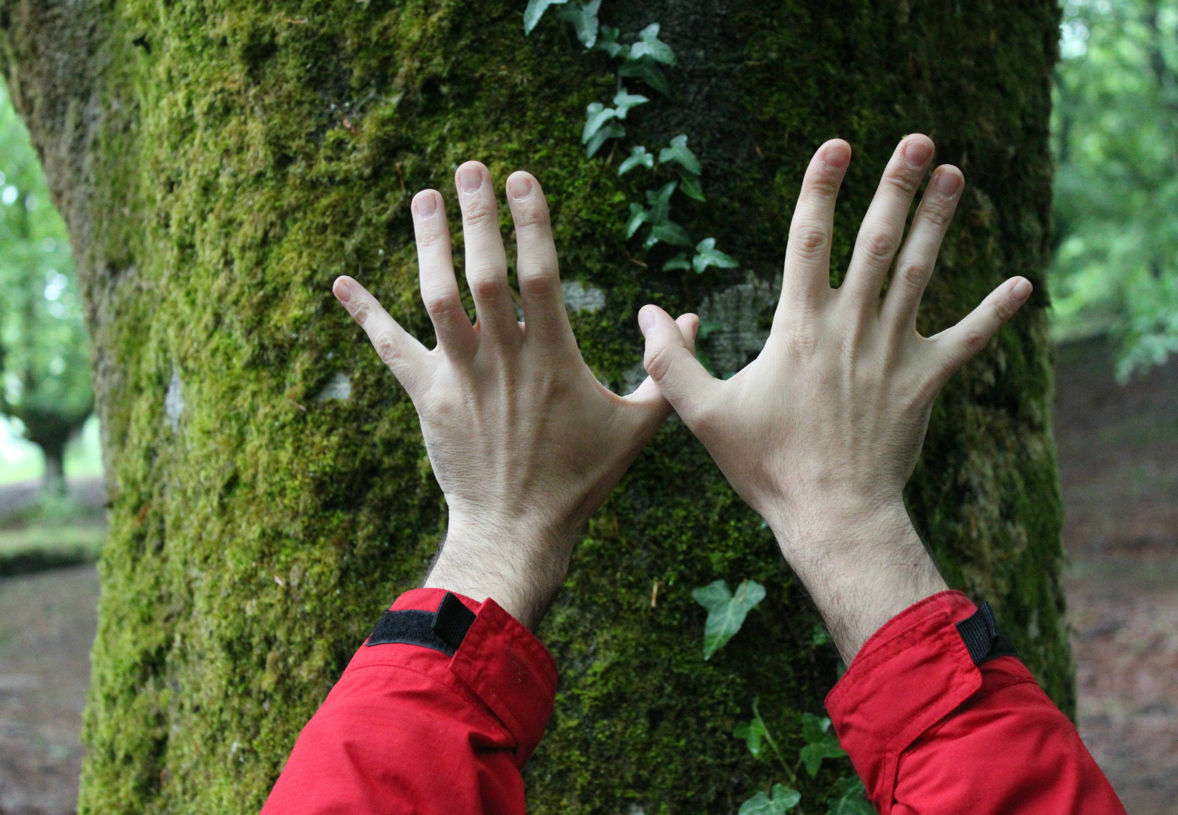 Bizkaia con la Red Natura 2000 (GL SEO Betsaide)