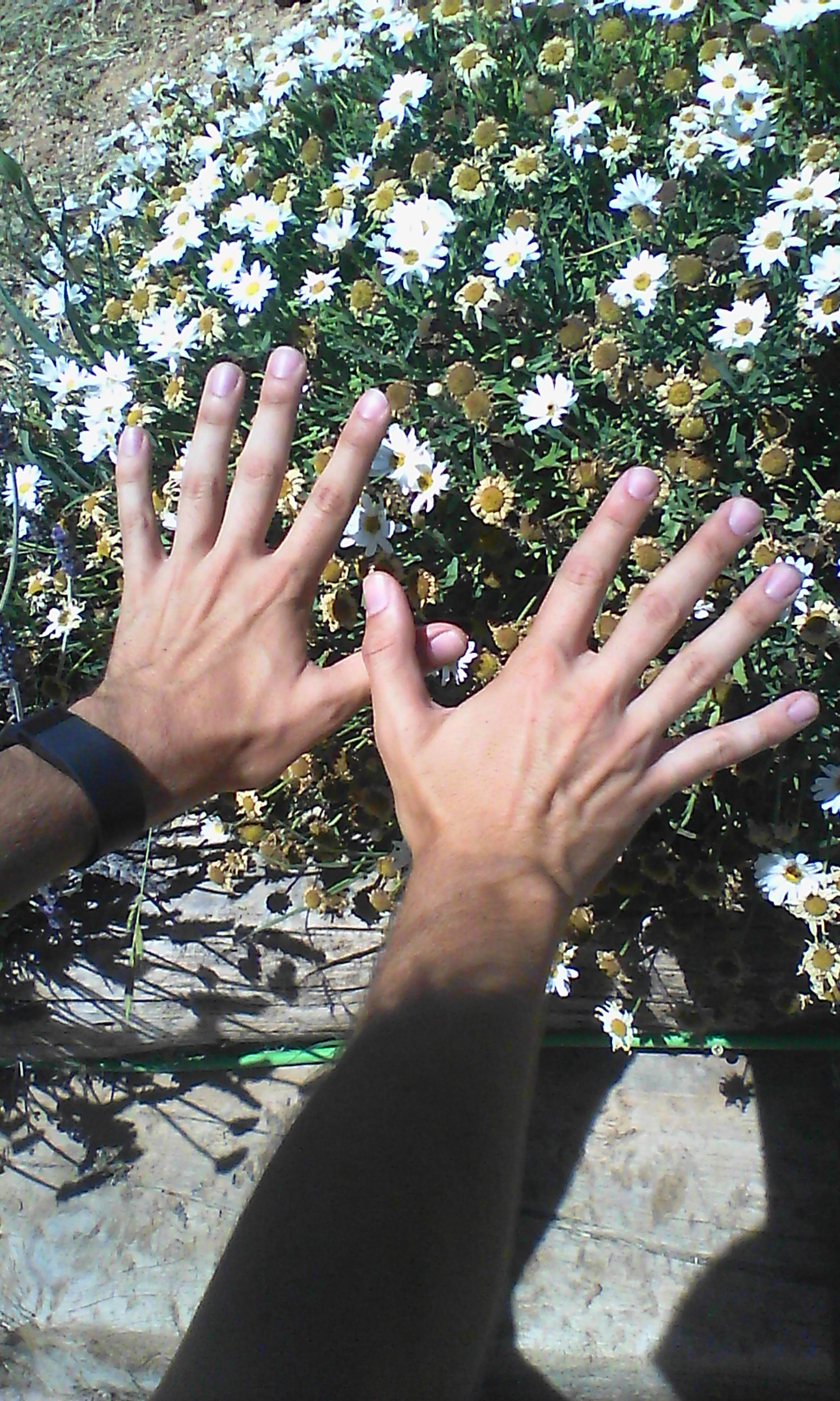 Lorca con la Red Natura 2000