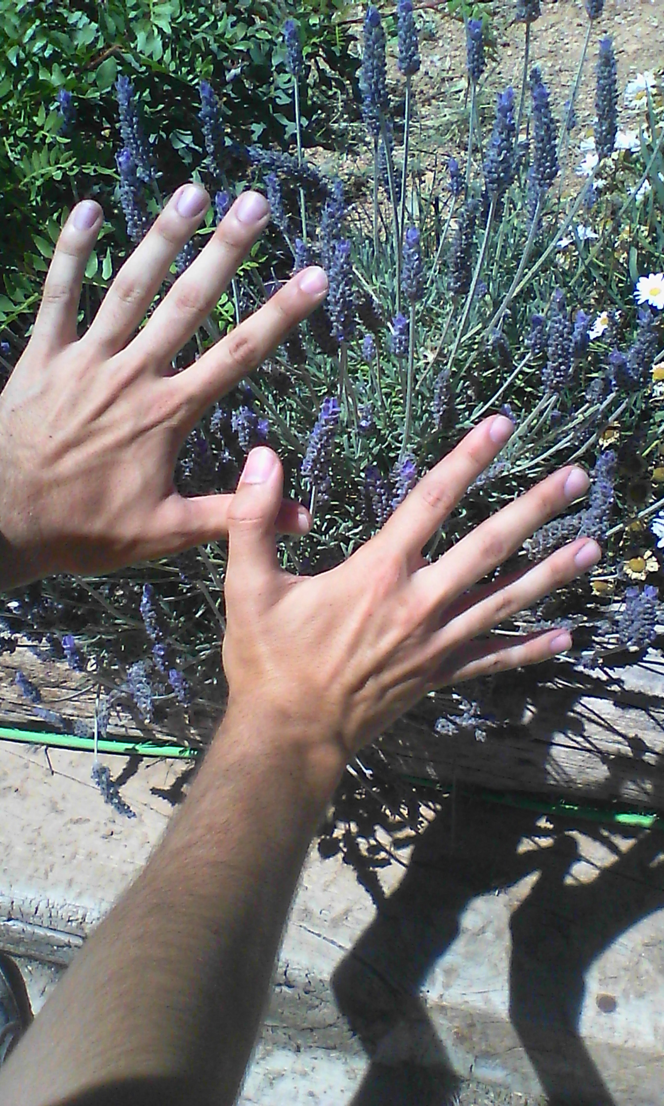 Lorca con la Red Natura 2000