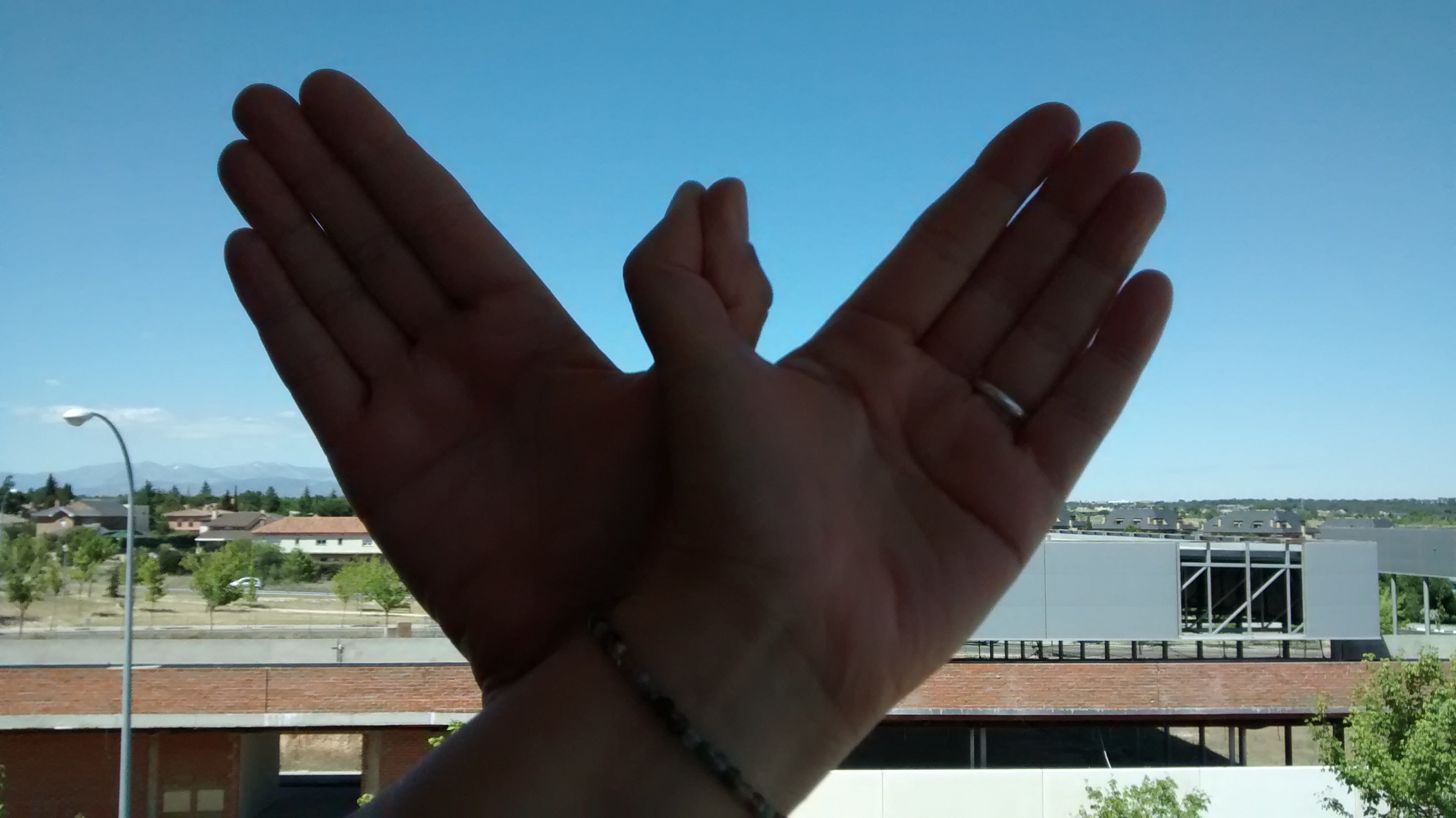 Volando en libertad